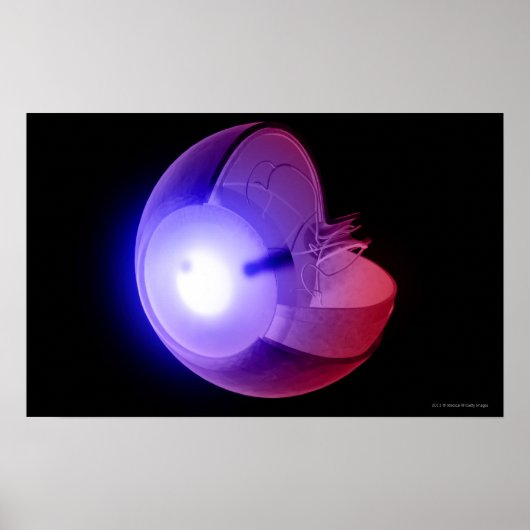 Weergave van de structuur van het oog poster (Voorkant)