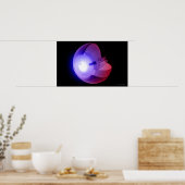 Weergave van de structuur van het oog poster (Keuken)