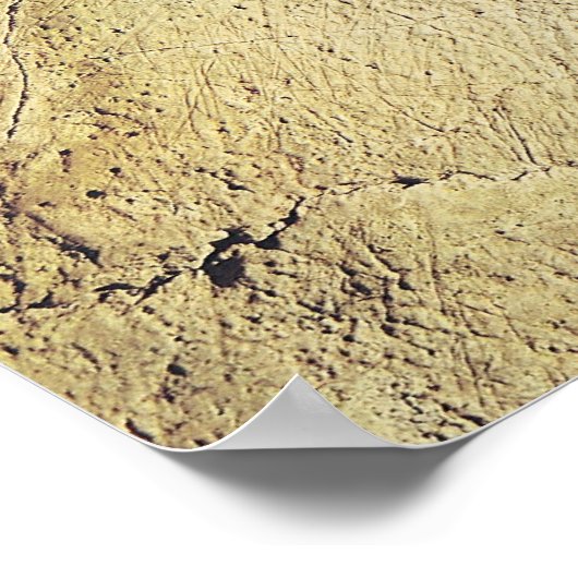 Weergave van een dier, c.15000 BC Poster (Hoek)