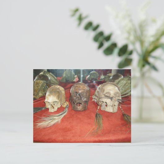 Weergave van gekrompen hoofden briefkaart (Staand voorkant)