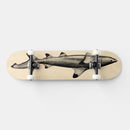  weergave van riffen — zwarte punt skateboard (Horizontaal)