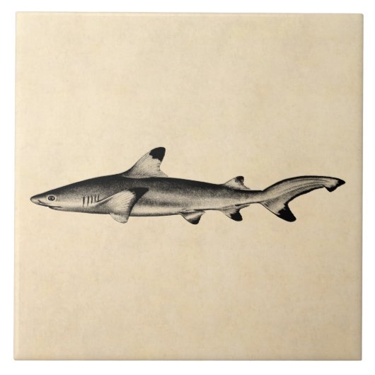 weergave van riffen — zwarte punt tegeltje (Voorkant)