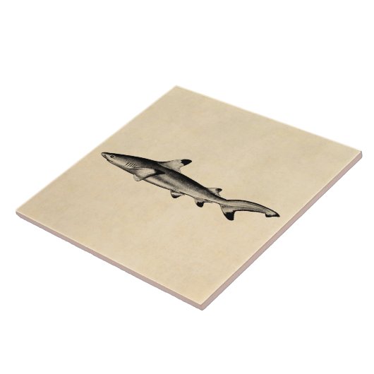  weergave van riffen — zwarte punt tegeltje (Zijkant)