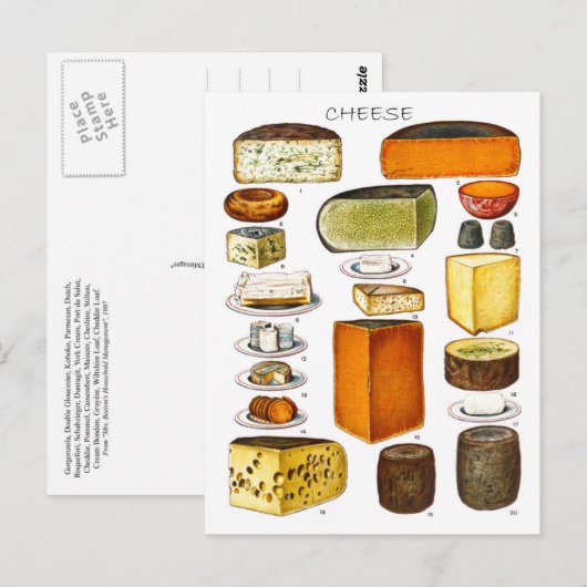 Weergave van soorten kaas briefkaart (Voorkant / Achterkant)