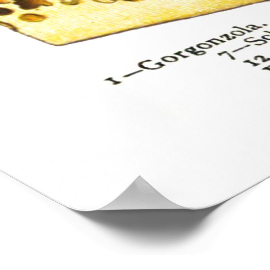 Weergave van soorten kazen poster (Hoek)