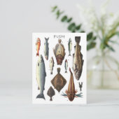 Weergave van verschillende vissoorten briefkaart (Staand voorkant)