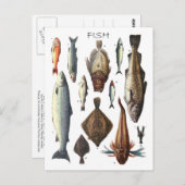 Weergave van verschillende vissoorten briefkaart (Voorkant / Achterkant)