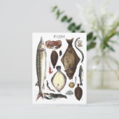 Weergave van verschillende vissoorten briefkaart (Staand voorkant)