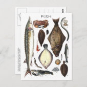 Weergave van verschillende vissoorten briefkaart (Voorkant / Achterkant)