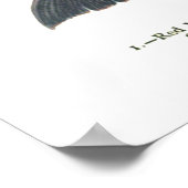 Weergave van verschillende vissoorten poster (Hoek)