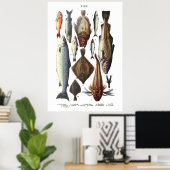 Weergave van verschillende vissoorten poster (Thuiskantoor)