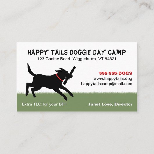 Weergave zwart labrador | Dog Pet Care Visitekaartje (Voorkant)