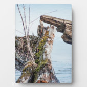 Weergavekader Fotoplaat (voorkant)