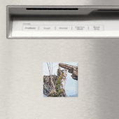 Weergavekader Magneet (Insitu (Vaatwasser))