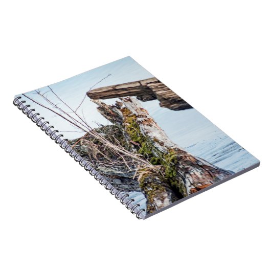 Weergavekader Notitieboek (Rechterzijde)