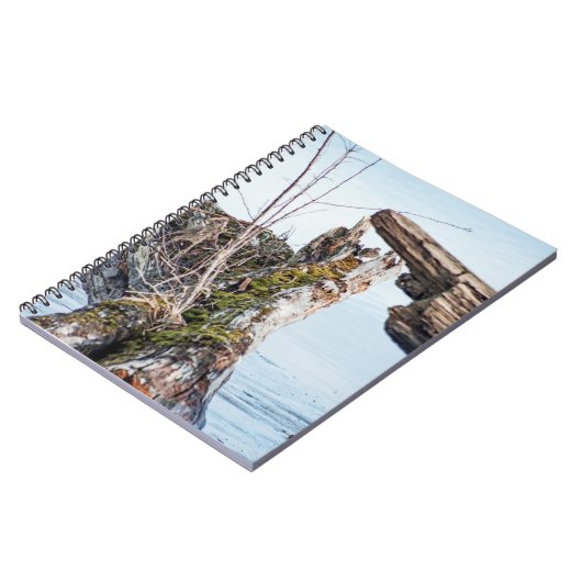 Weergavekader Notitieboek (Linkerzijde)