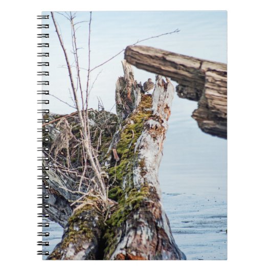 Weergavekader Notitieboek (Voorkant)