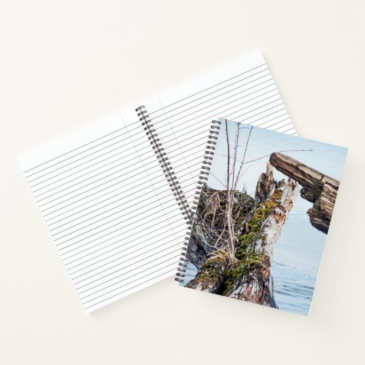 Weergavekader Notitieboek (Binnen)