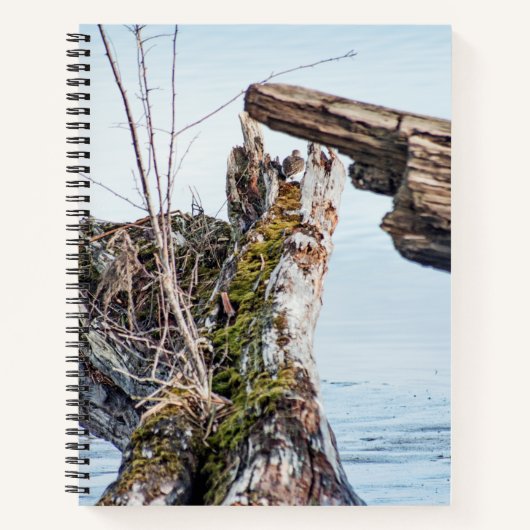 Weergavekader Notitieboek (Voorkant)