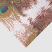 Weergaven Van Pauwenveren Tissuepapier (Detail)
