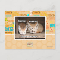 Weergaveopties pagina