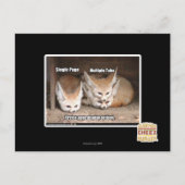 Weergaveopties pagina briefkaart (Voorkant)