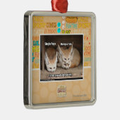 Weergaveopties pagina metalen ornament (Rechts)