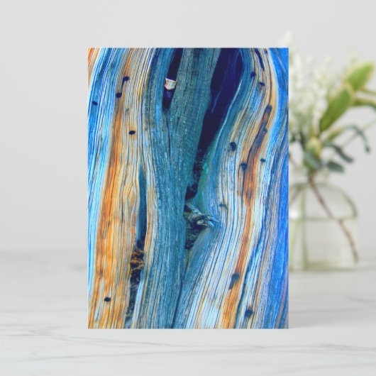 weerkaatste blauwe schuur (Staand voorkant)