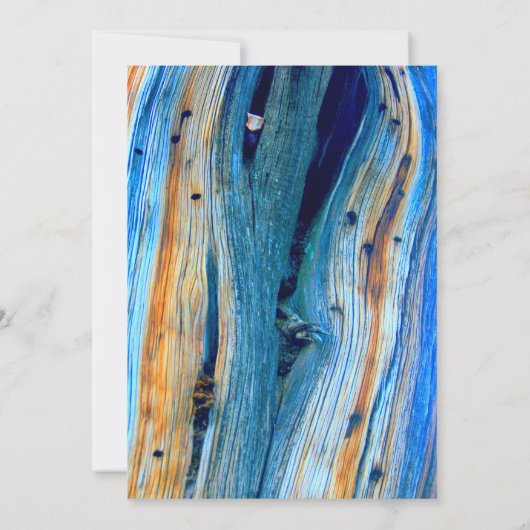 weerkaatste blauwe schuur (Achterkant)