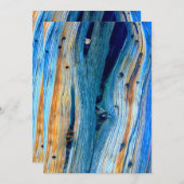 weerkaatste blauwe schuur (Voorkant / Achterkant)