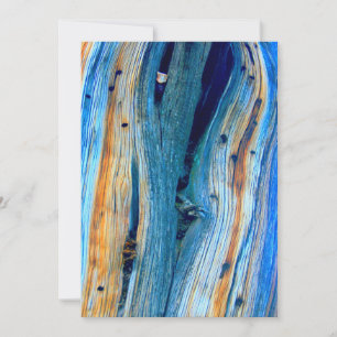 weerkaatste blauwe schuur