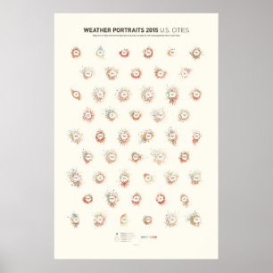 Weerportretten 2015: Amerikaanse steden Poster