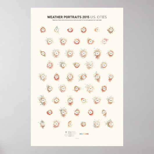 Weerportretten 2015: Amerikaanse steden Poster (Voorkant)