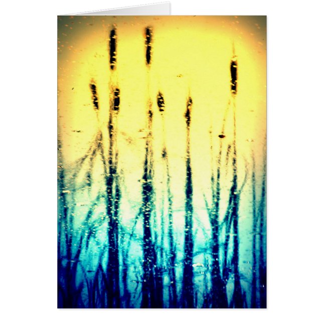 Weerspiegelde Glorie (Voorkant)