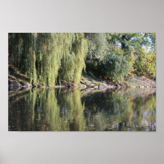 Weerspiegelde wilde bomen in de rivier poster (Voorkant)