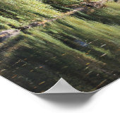 Weerspiegelde wilde bomen in de rivier poster (Hoek)