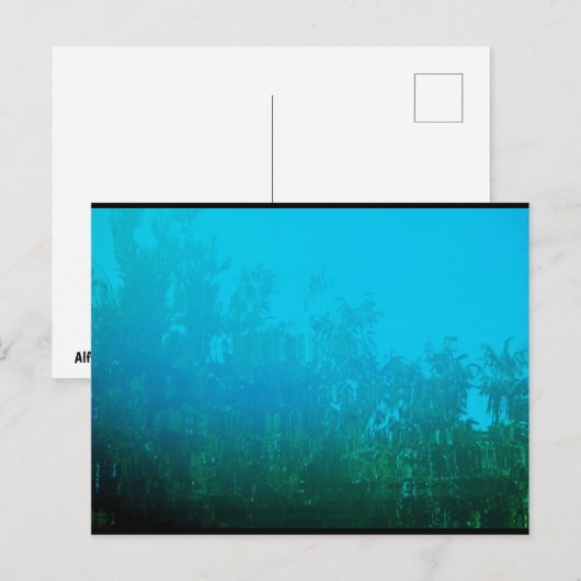 Weerspiegeling in het Water Briefkaart (Voorkant / Achterkant)