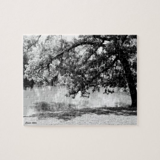 Weerspiegeling in het Water Fijn Kunst Puzzel (Horizontaal)