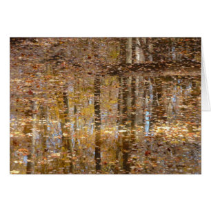 Weerspiegeling in Still Creek in Greenbelt Park