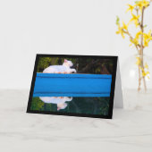 Weerspiegeling van een Witte Kat Kaart (Gele Bloem)