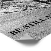 Weerspiegeling van zwarte en witte bomen poster (Hoek)