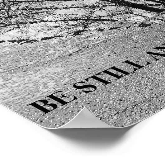 Weerspiegeling van zwarte en witte bomen poster (Hoek)