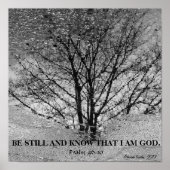 Weerspiegeling van zwarte en witte bomen poster (Voorkant)