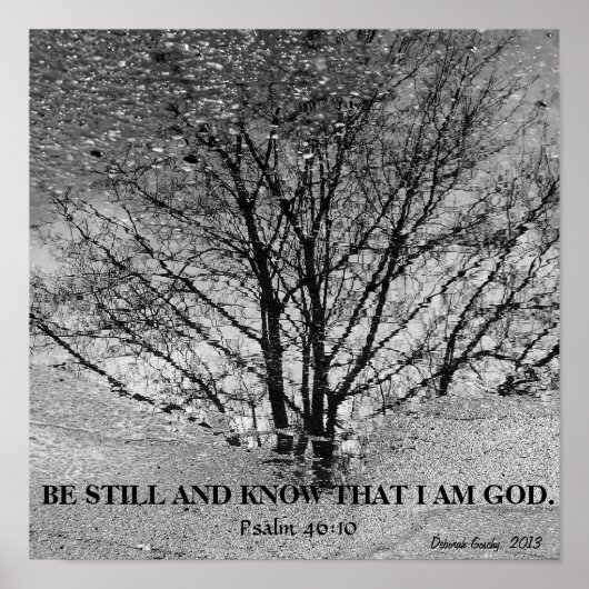 Weerspiegeling van zwarte en witte bomen poster (Voorkant)