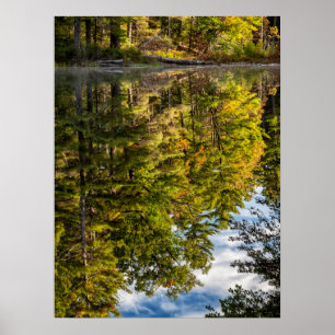 Weerspiegelingen in Red Eagle Pond Witte Bergen Poster