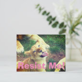 Weersta me Briefkaart! Briefkaart (Staand voorkant)