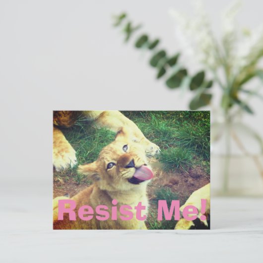 Weersta me Briefkaart! Briefkaart (Staand voorkant)