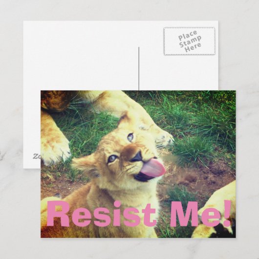 Weersta me Briefkaart! Briefkaart (Voorkant / Achterkant)