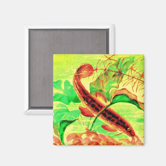 weersvis magneet (Voorkant / Achterkant)