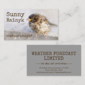  weersvoorspelling visitekaartje (Voorkant / Achterkant)